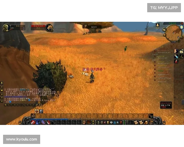 魔兽世界怀旧服:探索宏技能升级之道